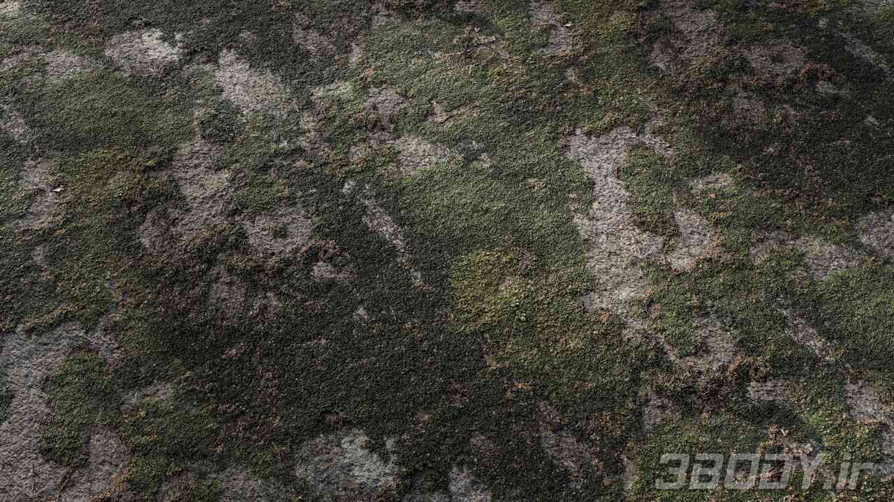 متریال خزه سنگ rock moss عکس 1